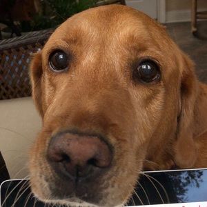 Meet your Posher, Andrew